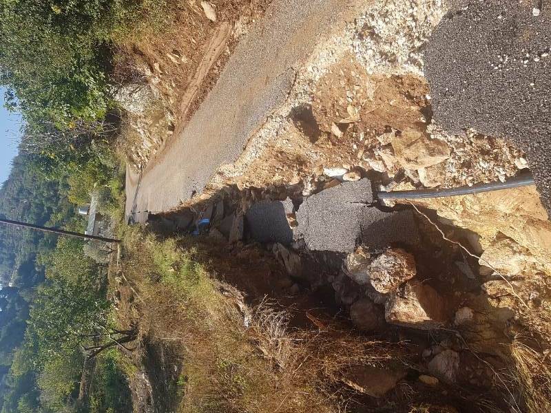 بعد الحرائق... كارثة بيئية جديدة في القبيات
