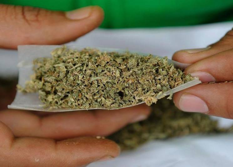يروجان "حشيشة الكيف وكمية من الحبوب المخدّر" في هذه المنطقة... وقوى الأمن تتحرك