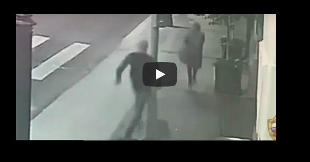 سبعينية تمنع لصا من سرقة حقيبتها