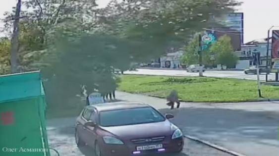 ردّ فعل طفلة بعد نجاتها من حادث كاد أن يكلّفها حياتها