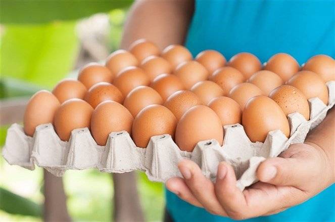 قطاع إنتاج البيض إلى تراجع