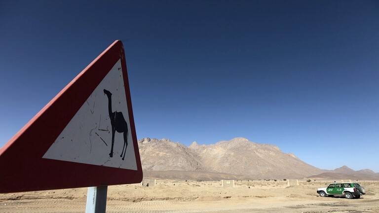 هزتان أرضيتان تضربان الجزائر في أقل من 24 ساعة