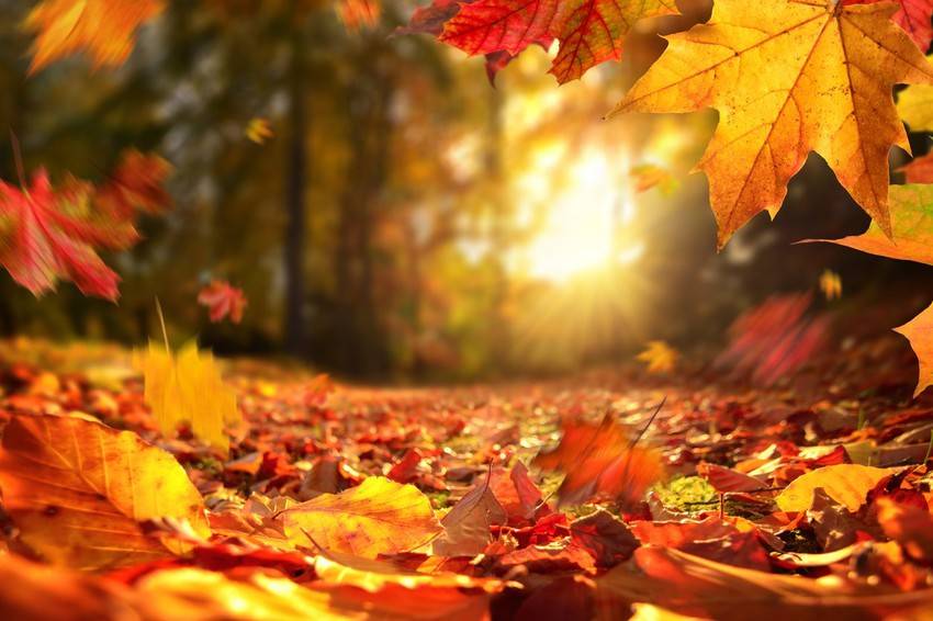 "بين تشرين وتشرين… صيف ثاني"