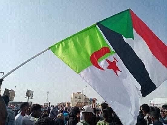 كيف علّقت الجزائر على التطورات في السودان؟