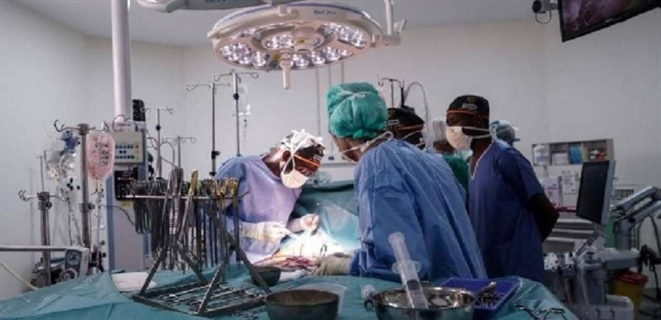 "بعد زراعة الأعضاء من الخنزير"... الأزهر يحسم الجدل