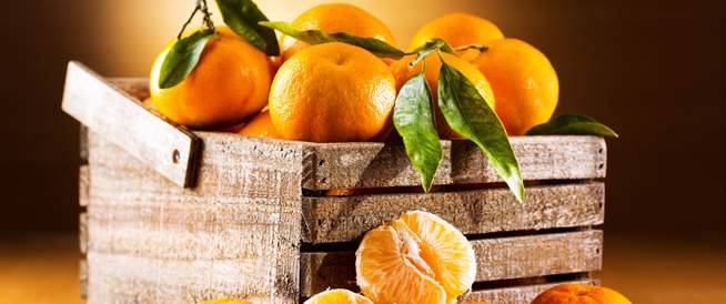 روسيا تفرض حظرا على استيراد منتجات زراعية من تركيا