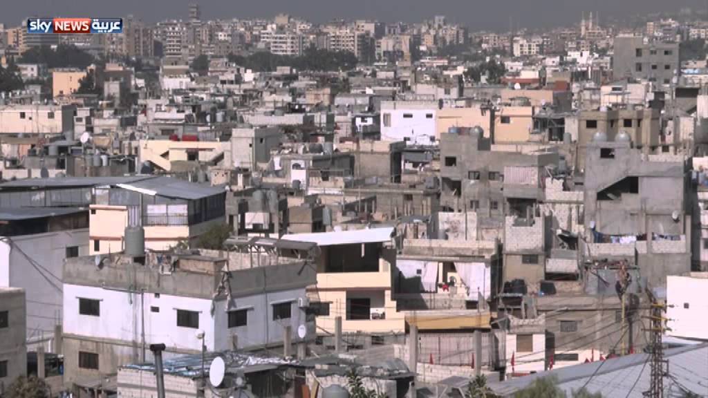 إستنفار و إخلاء مدارس في عين الحلوة والسبب...