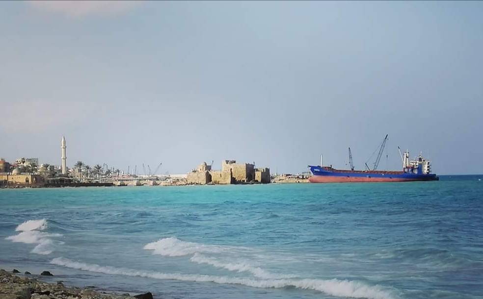 سمك فوق سطح البحر في صيدا.. ما السبب؟