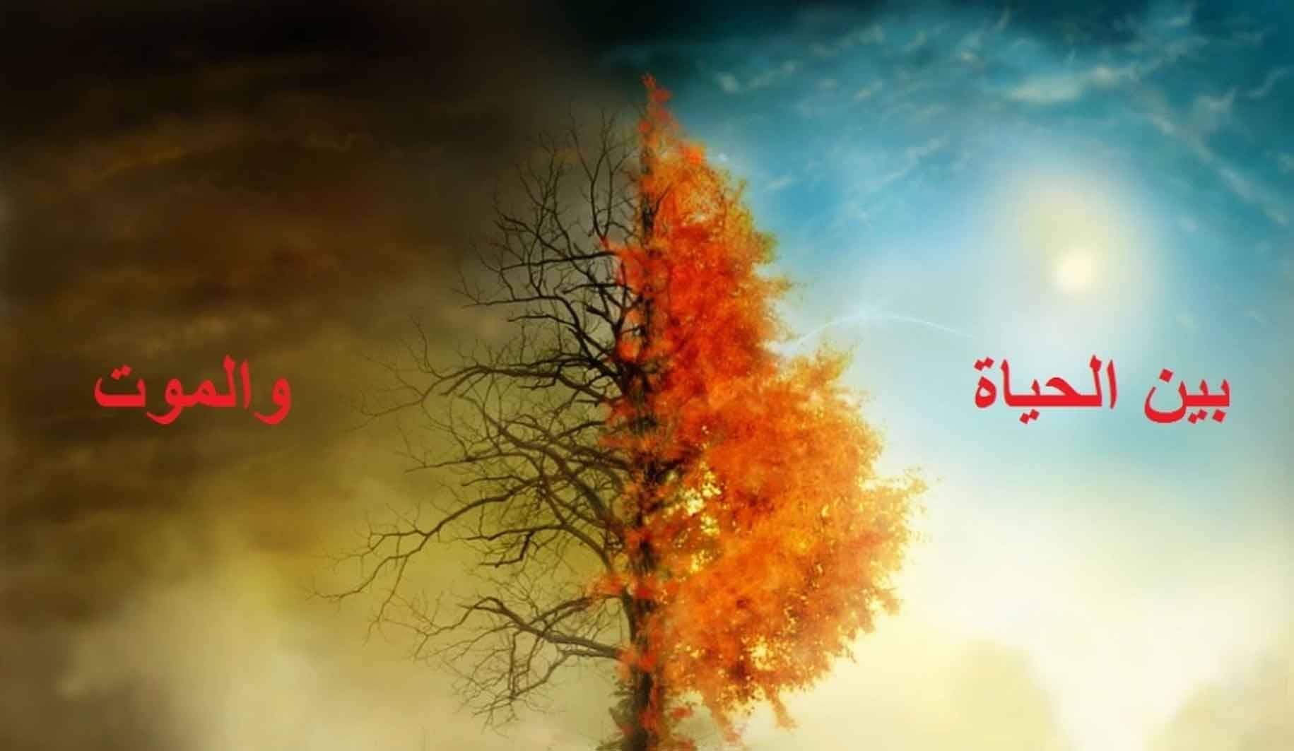 كيف لنا ان نفهم الموت ونحن لم نفقه الحياة بعد !!