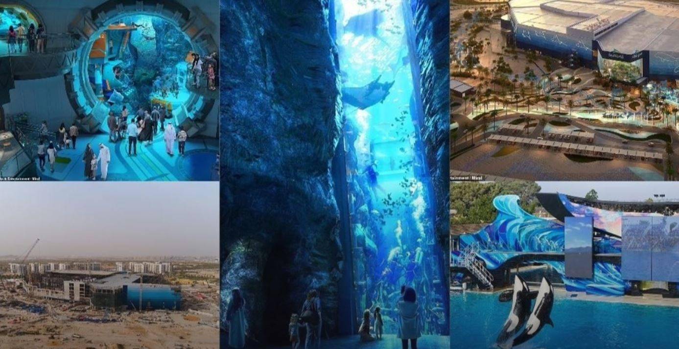 يضم 68 ألف حيوان بحري... الإمارات تقترب من افتتاح أكبر حوض مائي في العالم