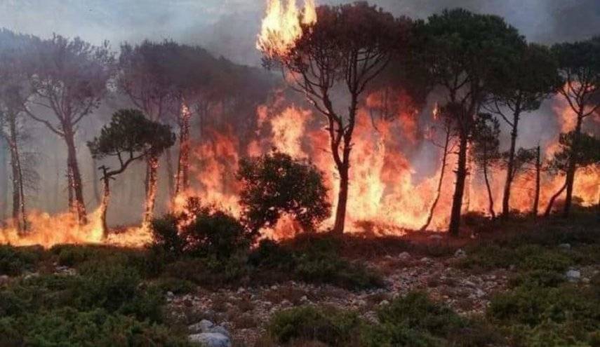 93 حريقاً في عطلة نهاية الأسبوع
