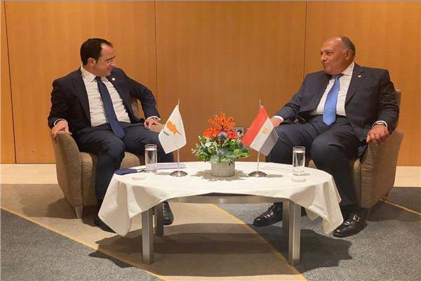 شكري يبحث في قبرص تعزيز التعاون بين البلدين