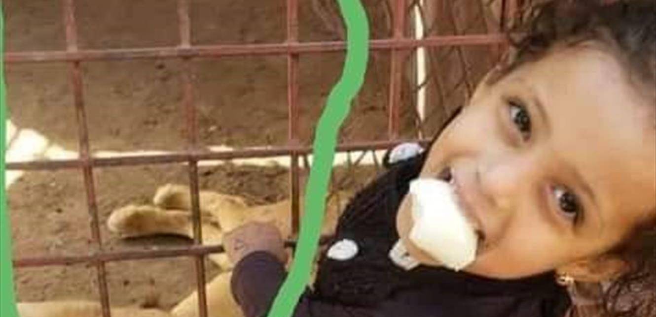 في هذا البلد العربي.. أسد يلتهم يد طفلة