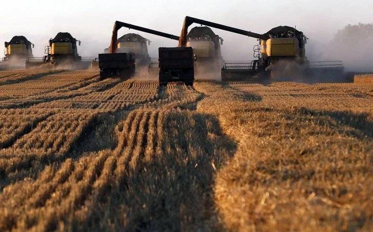 مصرف لبنان وافق على فواتير استيراد القمح