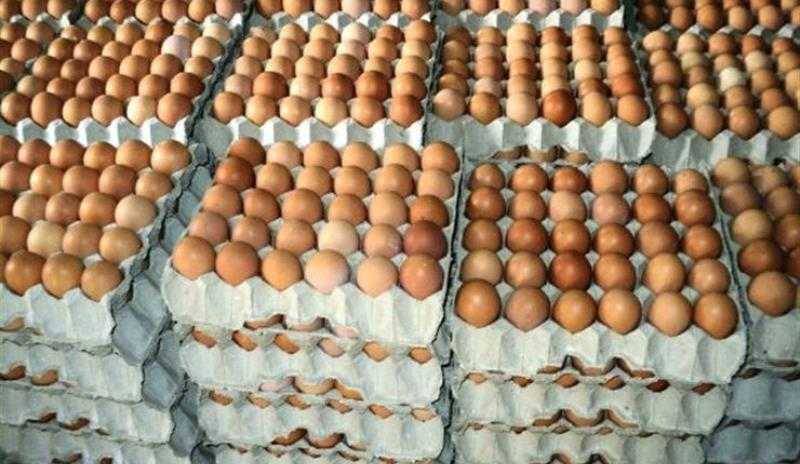 ارتفاع جنوني في سعر "كرتونة البيض"