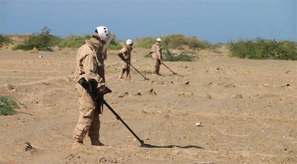 كم بلغ عدد الألغام التي تمّ نزعها في اليمن خلال الأسبوع الأخير من عام 2021؟