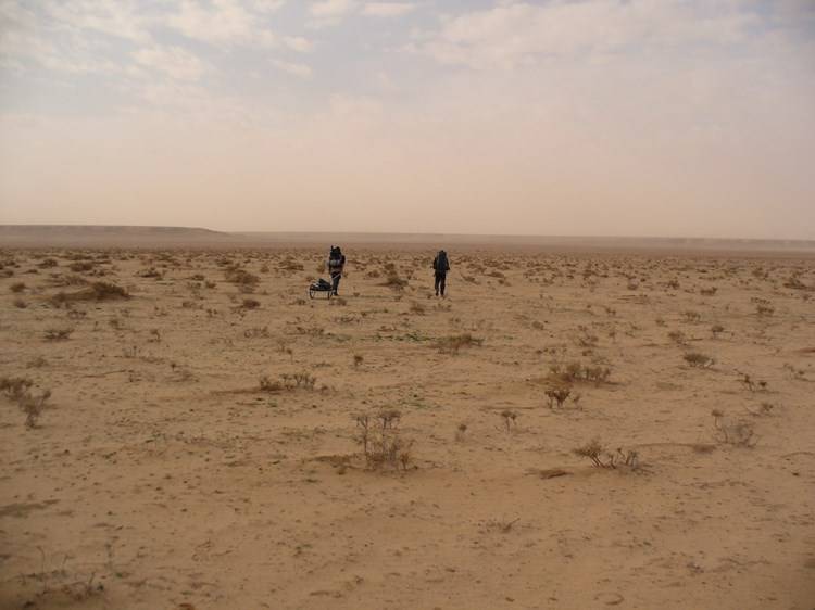 اعتداء داعشي في البادية السورية