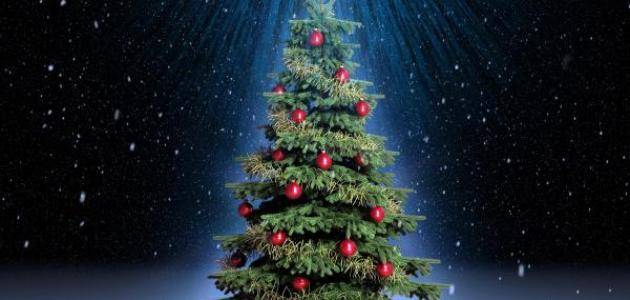 شجرة الميلاد