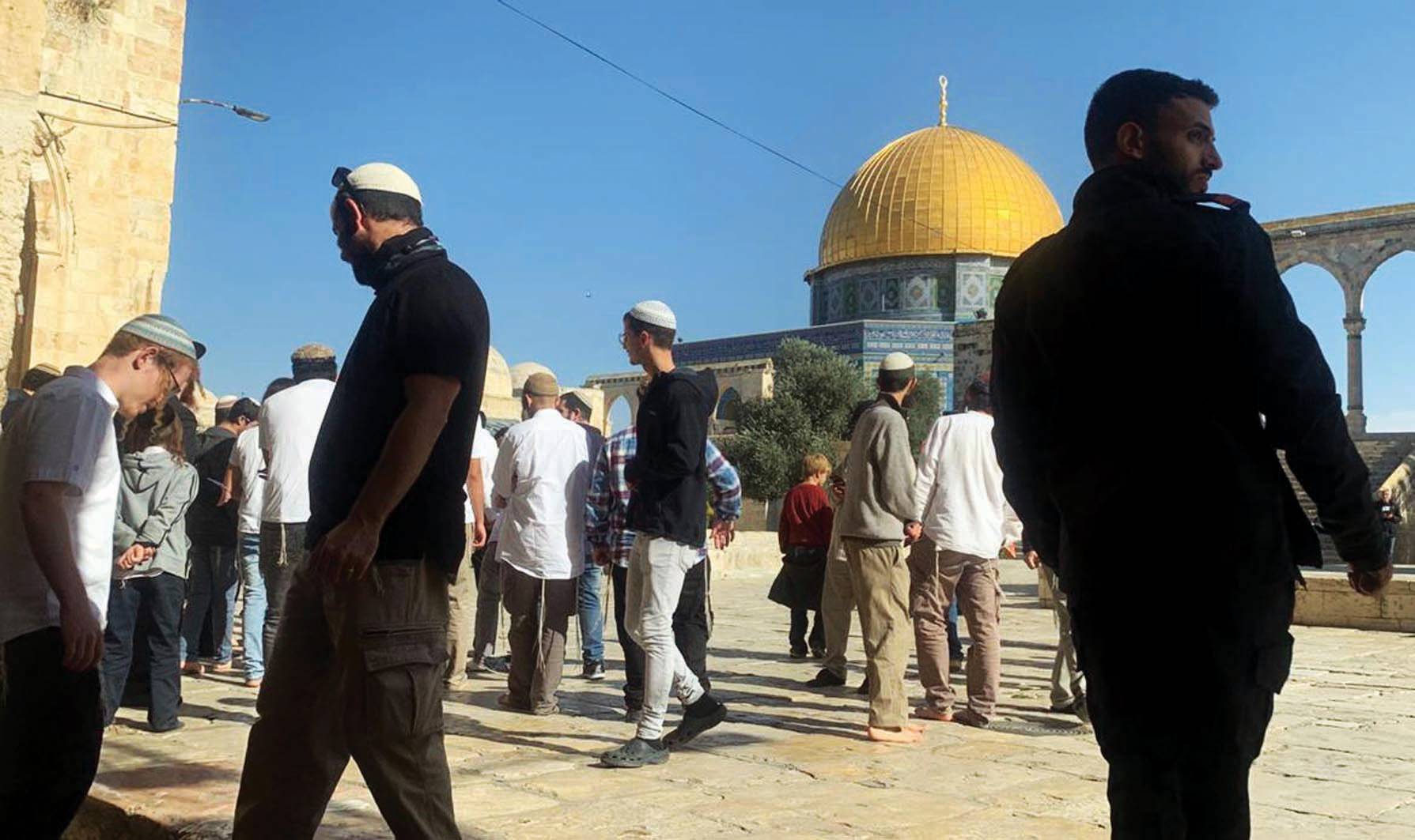 عشرات المستوطنين يقتحمون المسجد الأقصى
قوات الاحتلال تجدد اعتداءاتها على الفلسطينيين