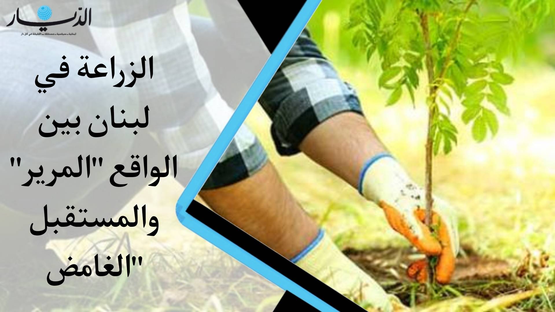 الزراعة في لبنان بين "الواقع" المرير و"المستقبل" الغامض.. يبقى الانتاج محدودا (فيديو)