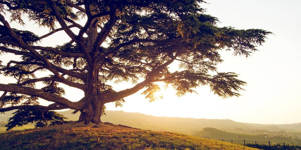 بالرغم من اختلاف المصالح السياسية.. لا تزال الفرصة سانحة لإنقاذ البلد