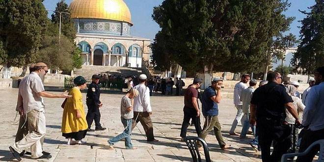 قوات الاحتلال تعتقل 6 فلسطينيين في الضفة
وعشرات المستوطنين يجددون اقتحام "الأقصى"