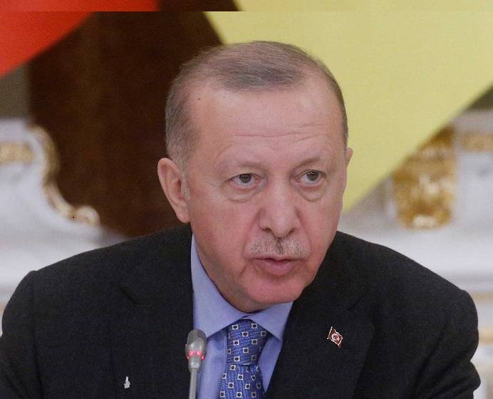 اعتقال شخص بتهمة إهانة أردوغان