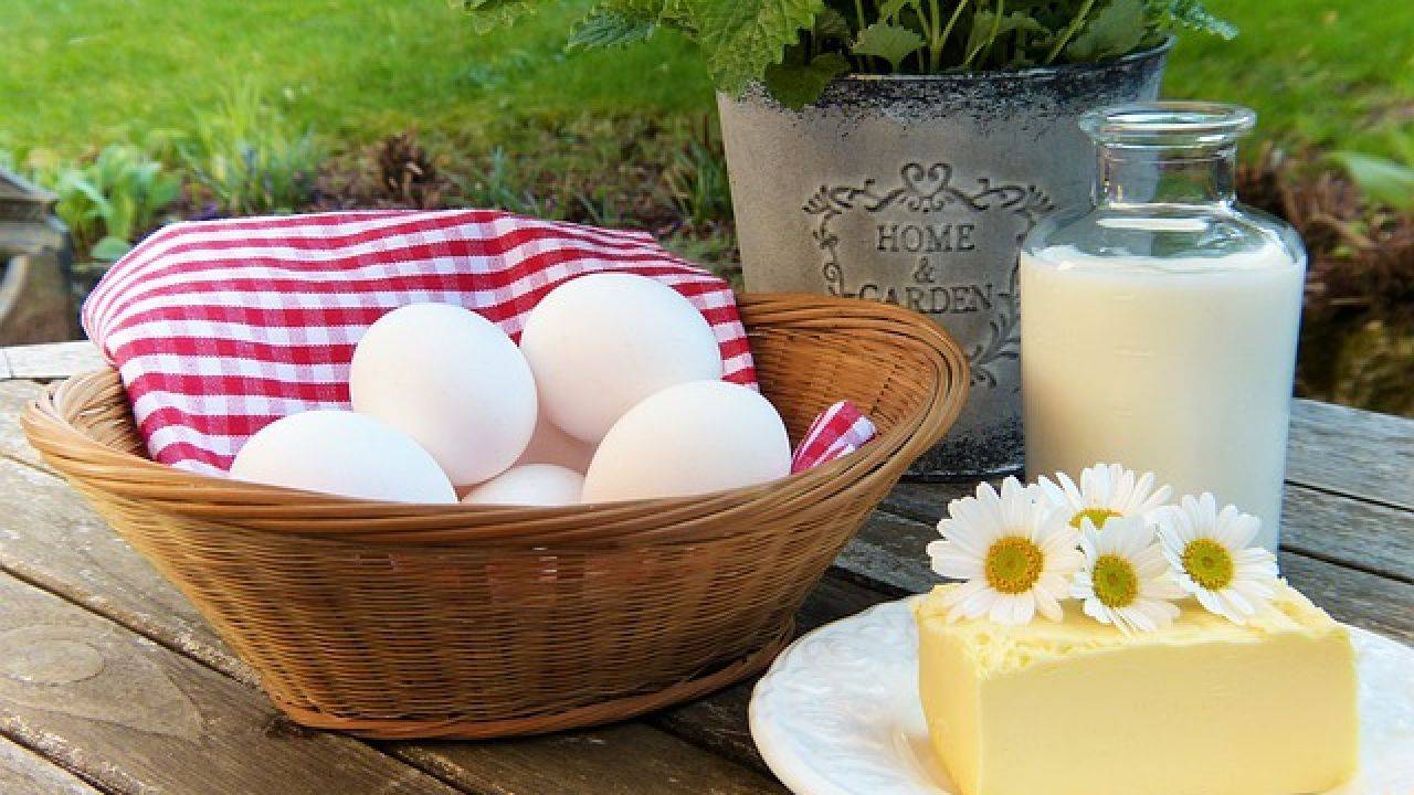 الدجاج والزبدة والبيض والحليب.. اليكم بعض الخرافات الغذائية حولها