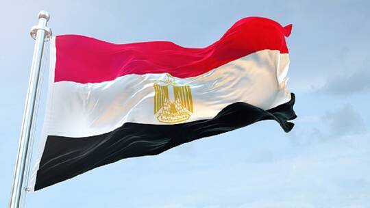 مصر.. النيابة تحقق في 