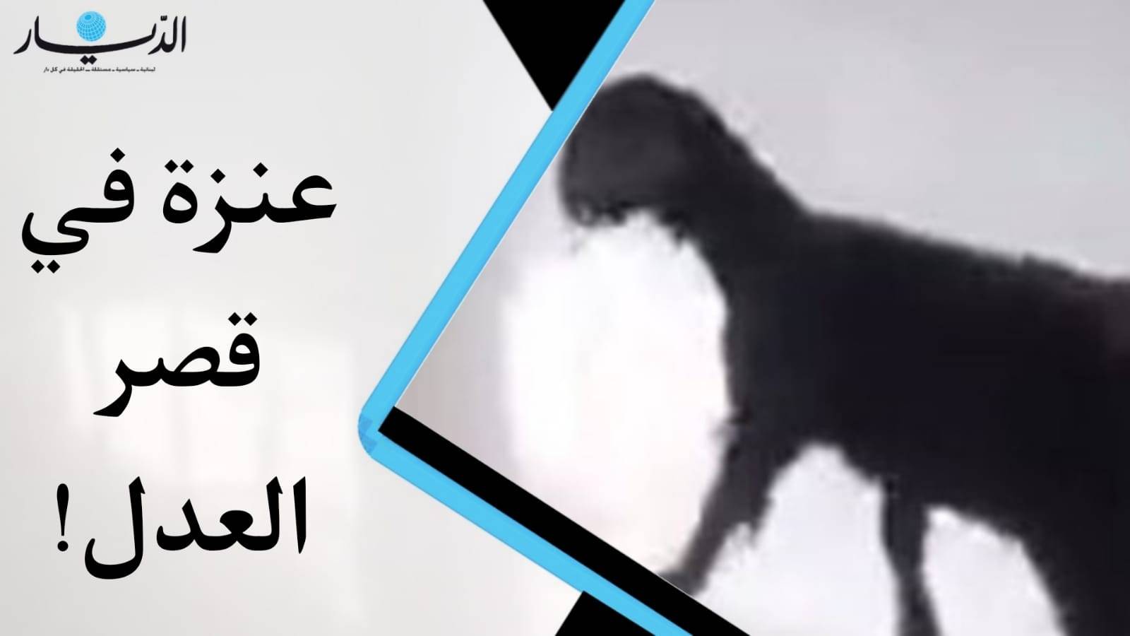 بالفيديو: عنزة في قصر العدل!