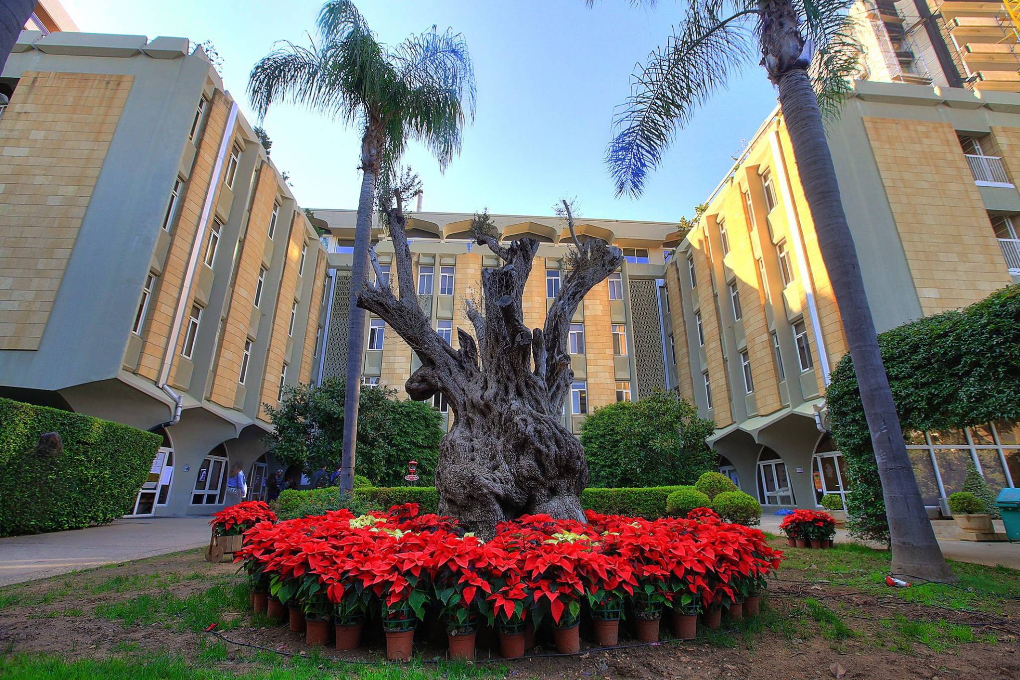 جامعة LAU تنفي حصول اي اشكال في حرم بيروت
