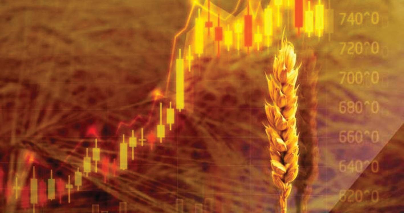 ارتفاع كبير لأسعار القمح في الأسواق الأوروبية