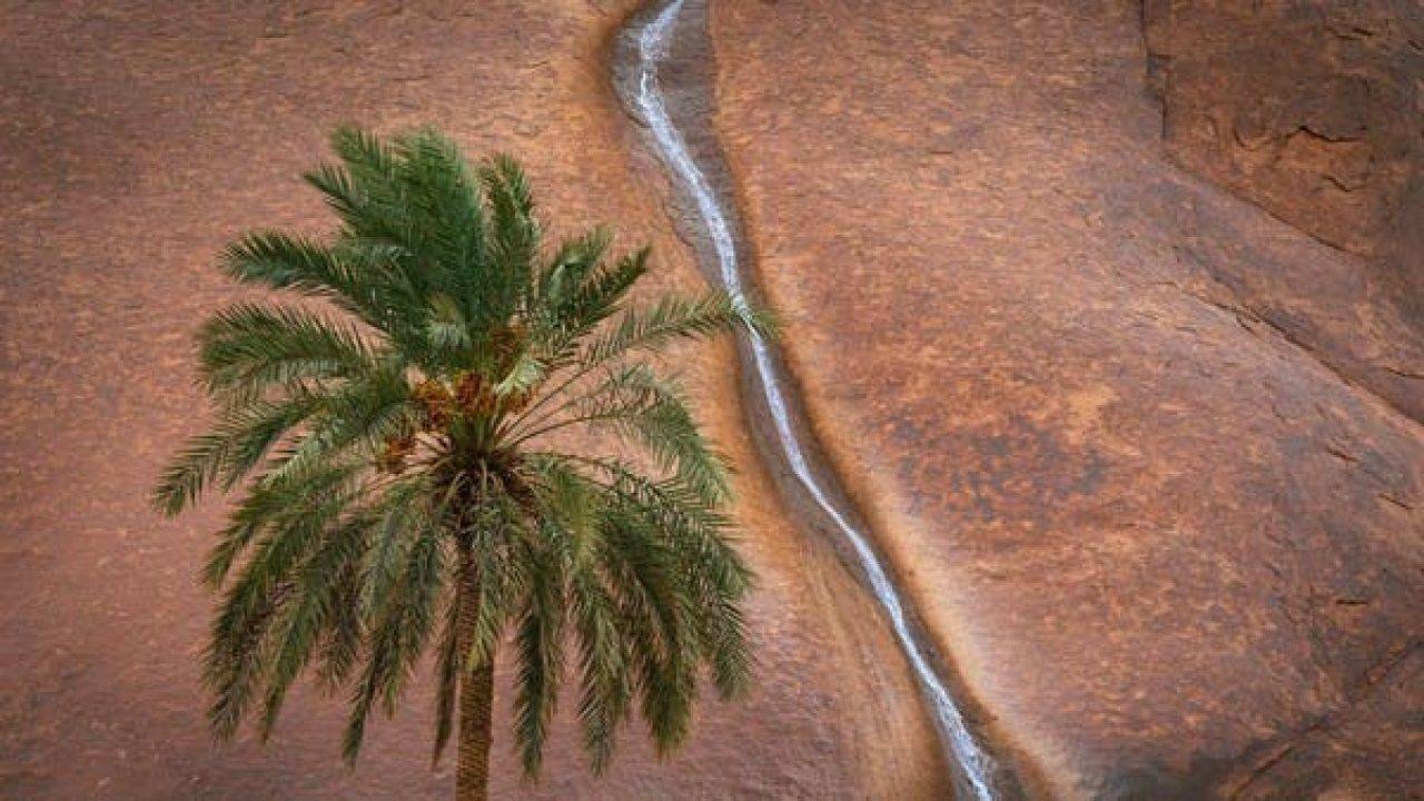 مصور سعودي: خطأ من "غوغل ماب" وراء فوزي بهذه الجائزة
