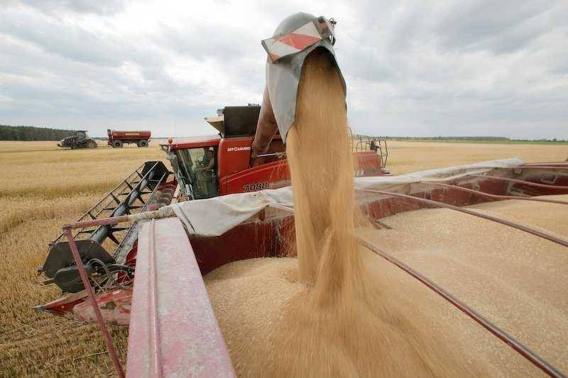 تفريغ 7000 طن من القمح الأوكراني في مرفأ طرابلس