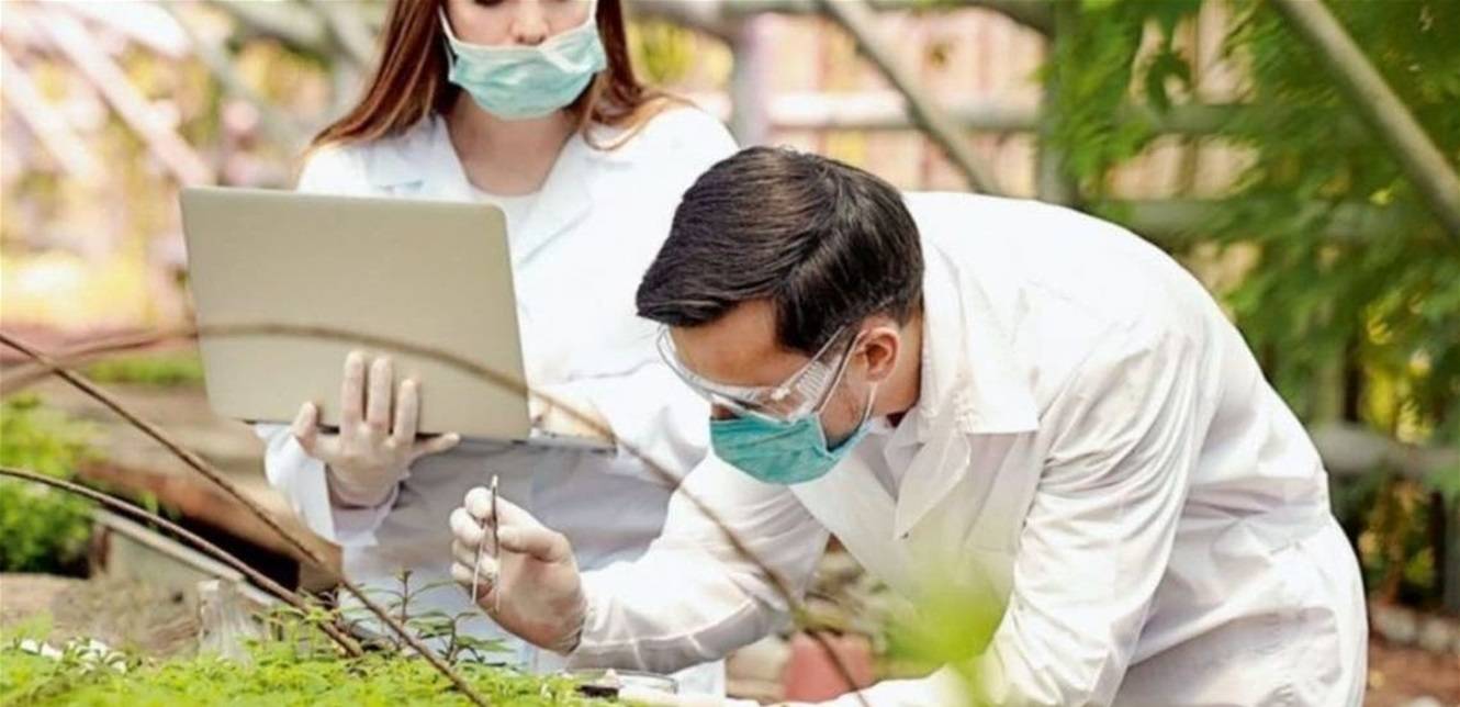 أول دولة تسمح بتداول لقاح نباتي مضاد لكورونا.. تعرفوا إليه