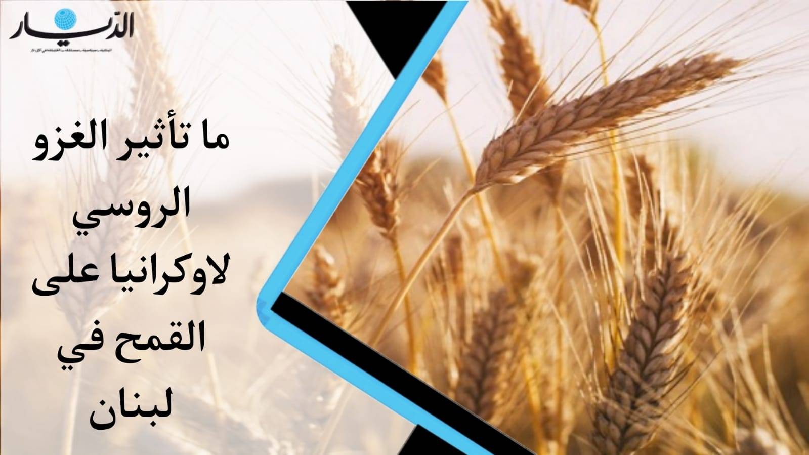 الحرب الروسية الأوكرانية تهدد قمح لبنان... فما البديل؟ (فيديو)