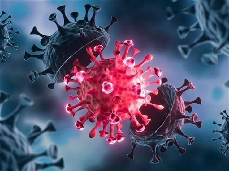 دراسة صادمة.. كورونا يتكيف مع المناعة ويختبئ بالكلى والطحال