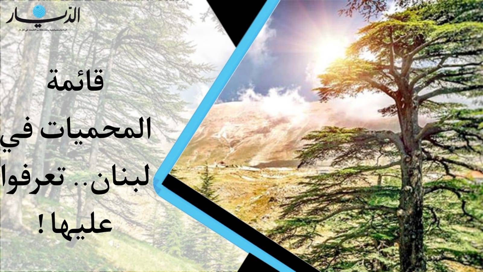 قائمة المحميات في لبنان.. تعرفوا عليها (فيديو)