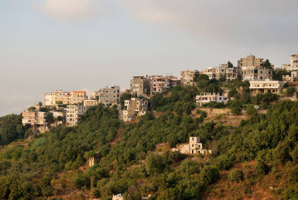 بالفيديو- الثلوج تغطي مدينة عاليه