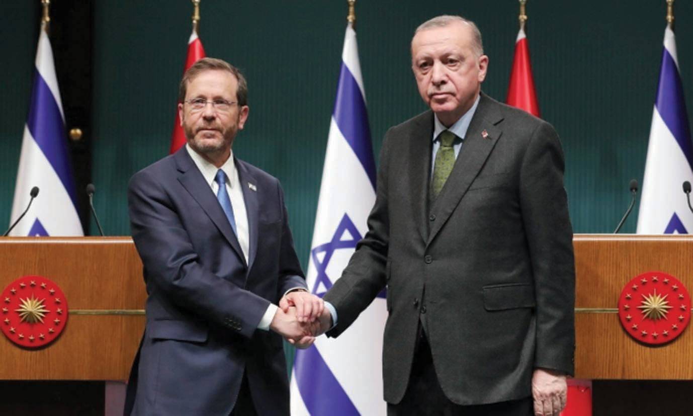 هرتسوغ يبحث مع أردوغان تصدير الغاز الى أوروبا وفتح «صفحة جديدة»