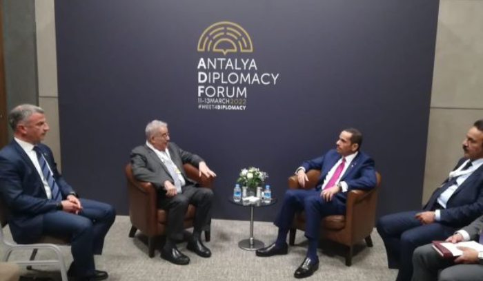 بوحبيب من منتدى انطاليا الدبلوماسي: الحكومة اللبنانية تبحث عن مصادر للحصول على القمح والنفط