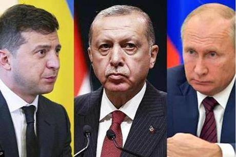 أردوغان يؤكد لزيلينسكي مواصلة مساعي تركيا لترتيب لقاء بينه وبين بوتين