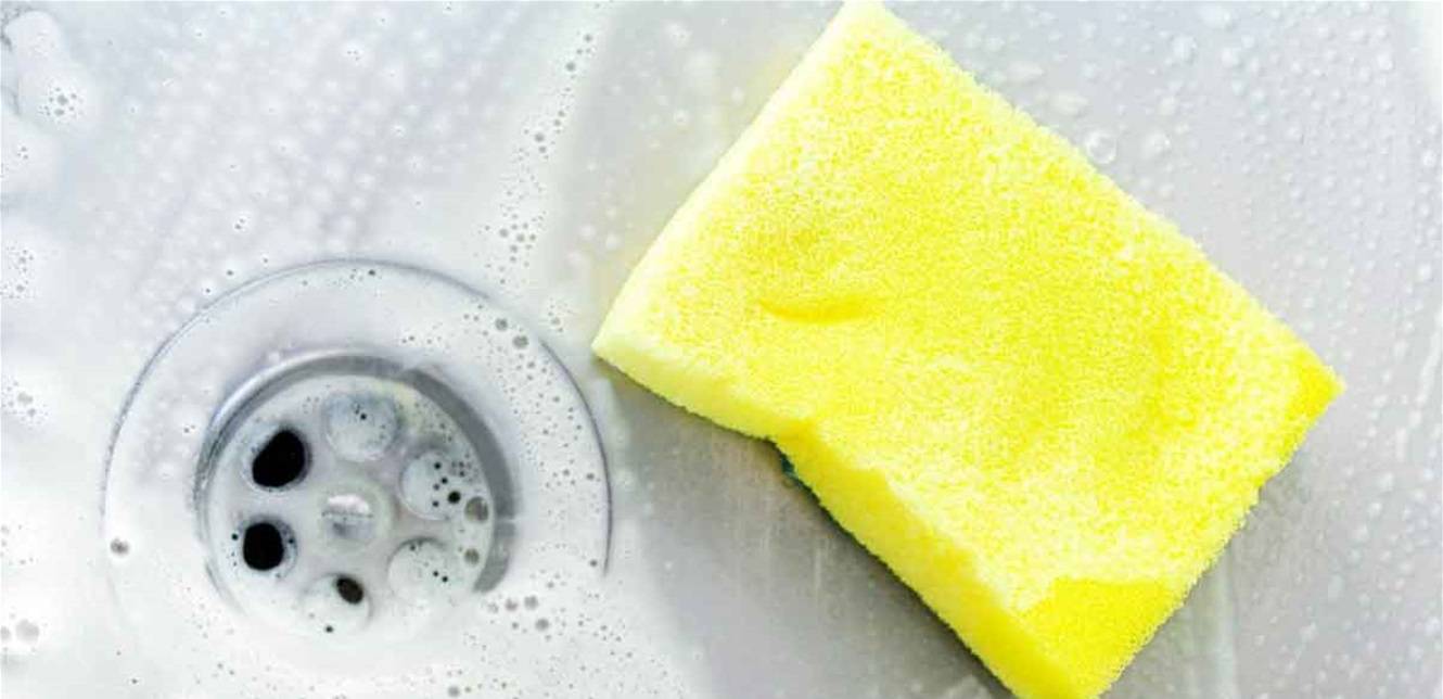 اسفنجة المطبخ والبكتيريا.. اليكم بعض المعلومات