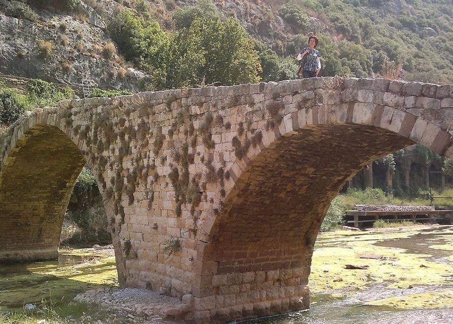جثة طافية على مجرى نهر الكلب!