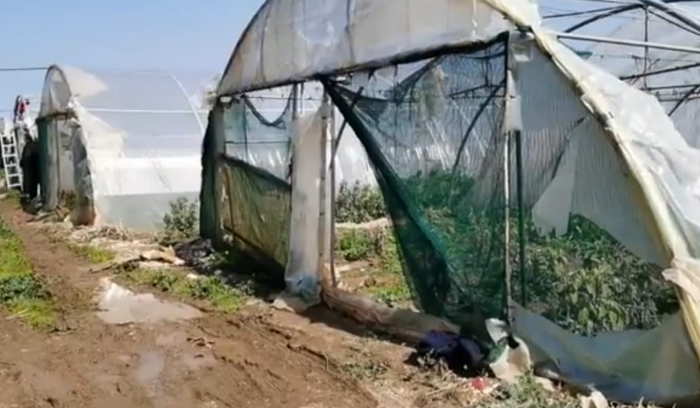 طقس صافٍ الى قليل الغيوم مع ارتفاع بالحرارة
الرياح والثلوج ألحقت خسائر بالمزروعات في عكار