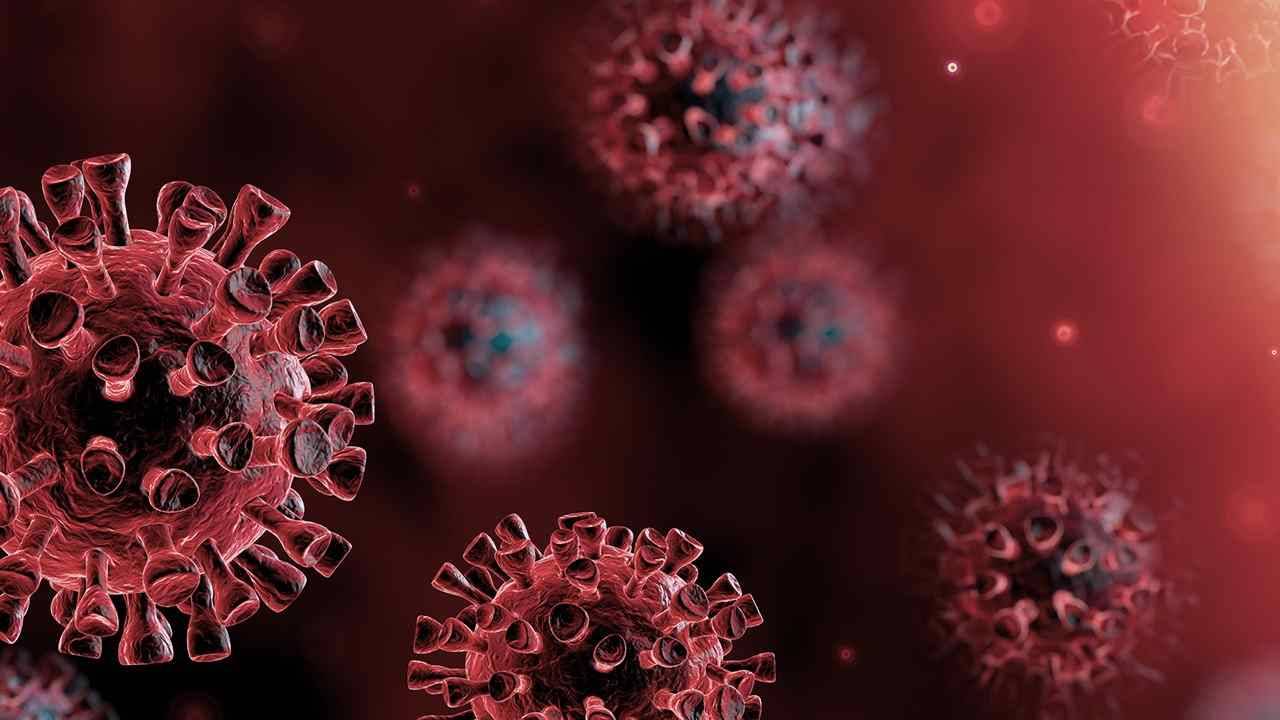 اكتشاف مواد جديدة تمنع تكاثر فيروس كورونا
