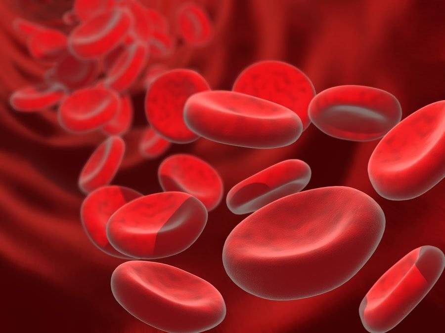 بقايا من البلاستيك تسبح في دمائنا.. اليكم السبب