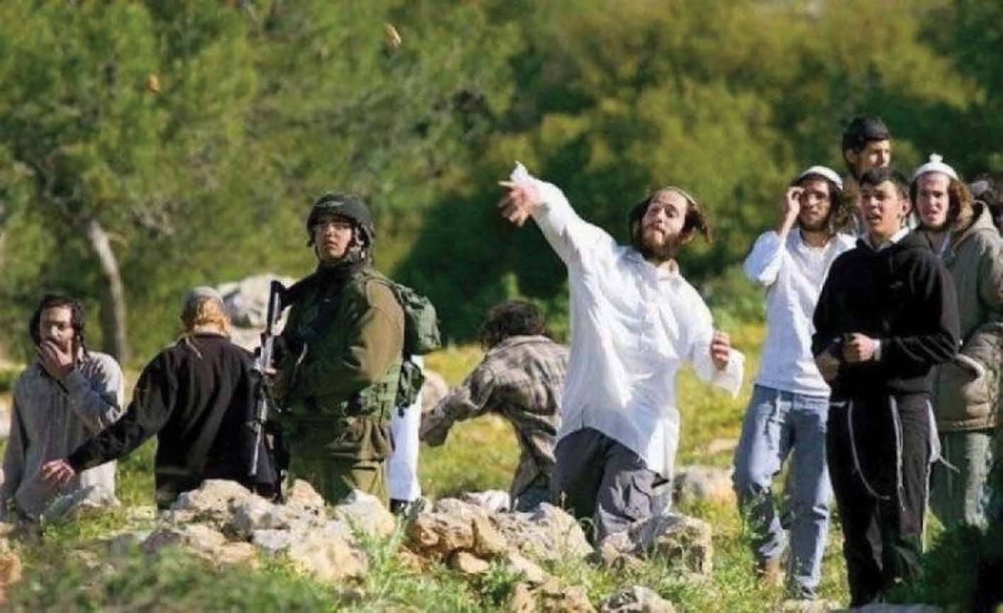 اعتداءات للمستوطنين في نابلس وحي «الجراح»
ومناشدات فلسطينية للهيئات الدولية