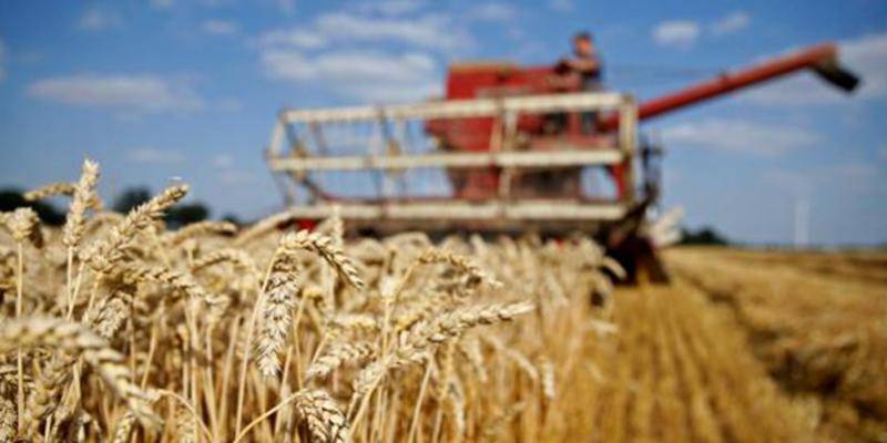 الأمم المتحدة: الأزمة في أوكرانيا تهدّد بكارثة غذائية عالمية