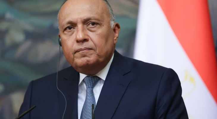 وزير خارجية مصر من موسكو: نتحرّك نتيجة إدراك الدول العربية خطورة الأزمة في أوكرانيا